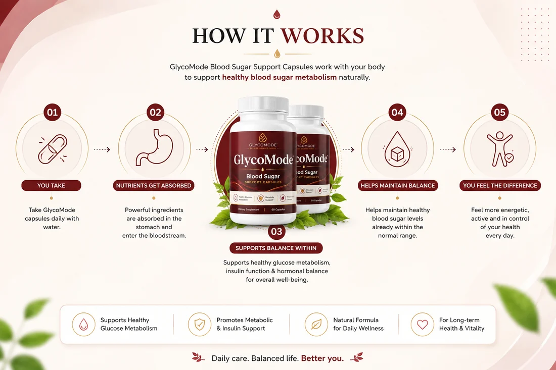 GlycoMode how it works diagram: you take, nutrients absorbed, supports balance within, helps maintain balance, you feel the difference